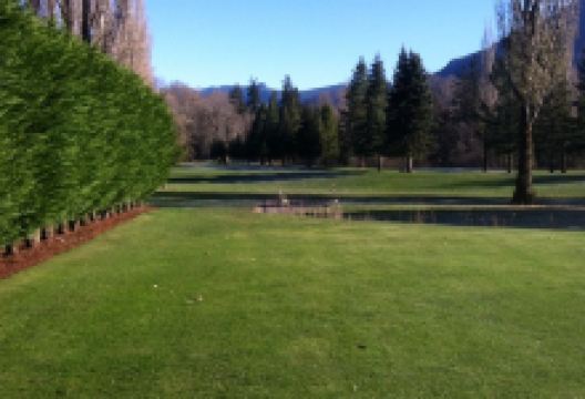 Mount Si Golf Restaurant美食图片