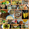 D'Orange Cafe
