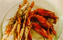 Osteria da Bruno餐厅图片