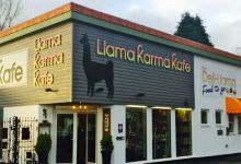 Llama Karma Kafe美食图片