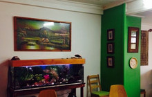 Kampung Kitchen餐厅图片