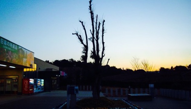 Inami Service Area(Down Line)餐厅图片