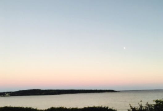 Point of View美食图片