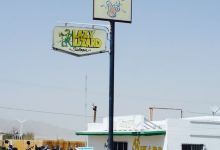 Lazy Lizard Saloon美食图片