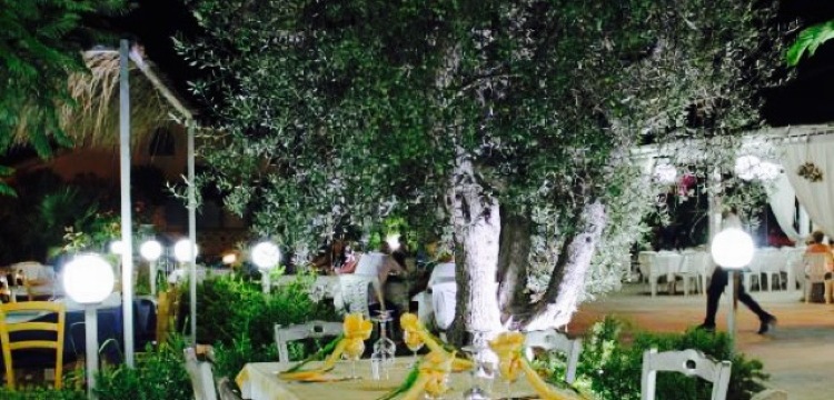 Verde Basilico餐厅图片