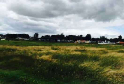 Norsminde Fiskehus美食图片