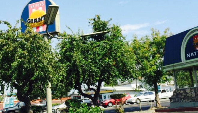 Nation's Giant Hamburgers餐厅图片