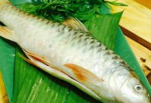 King Patin美食图片