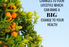 Nelson Bay Health Foods购物图片
