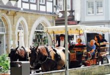 Die Butterhanne美食图片