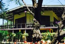 The Gilded Iguana Restaurant美食图片