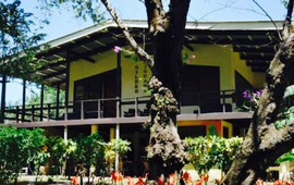 The Gilded Iguana Restaurant