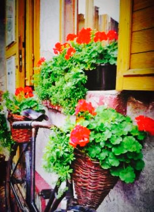 Herbaciarnia Marzenie