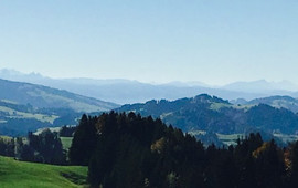 Sitz