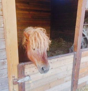 Agriturismo Il Giardino del Sole餐厅图片