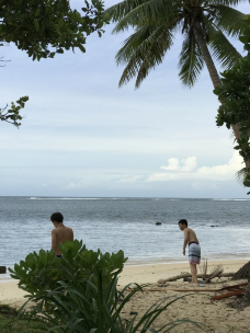 海豚湾-斐济-广州中奖小锦鲤