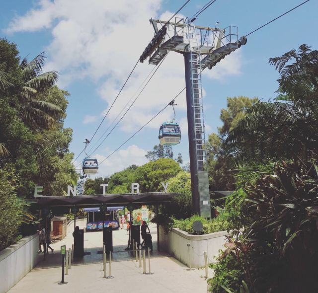Taronga Zoo