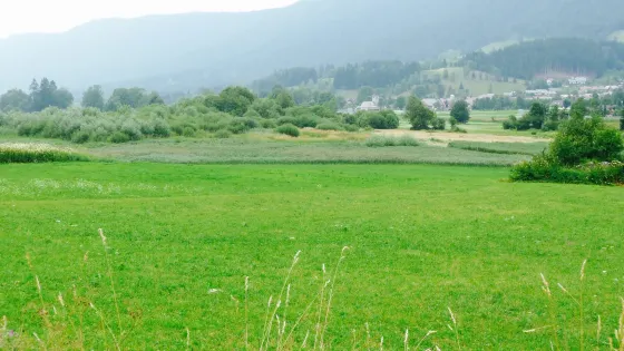 Recurrent Lake of Ledine