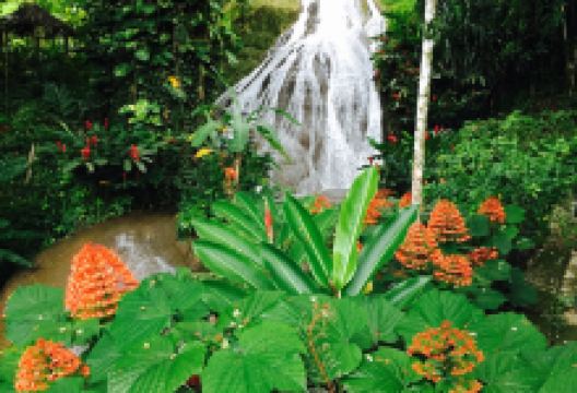 Shaw Park Gardens & Waterfalls景点图片
