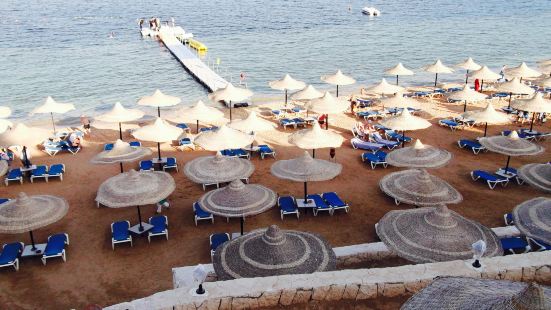 Shark's Bay Beach