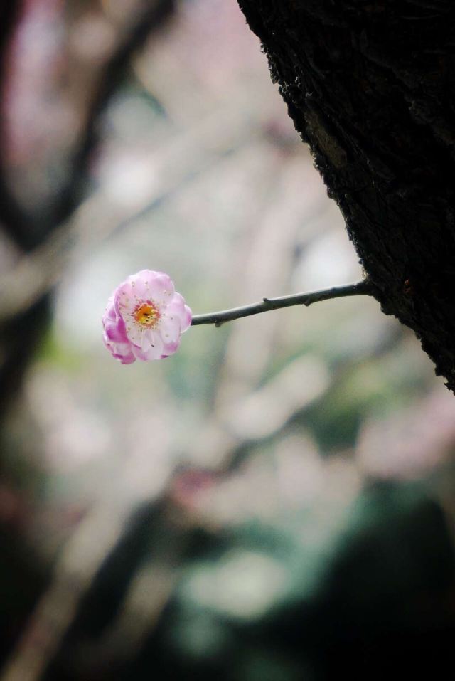 少年兒童公園