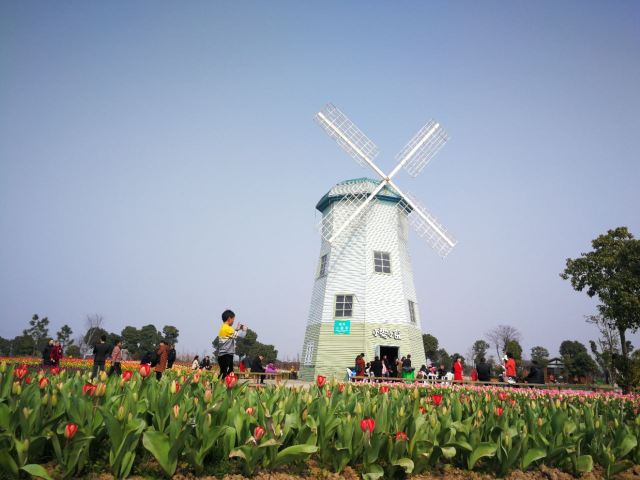 야린 현대농업원(원저우)