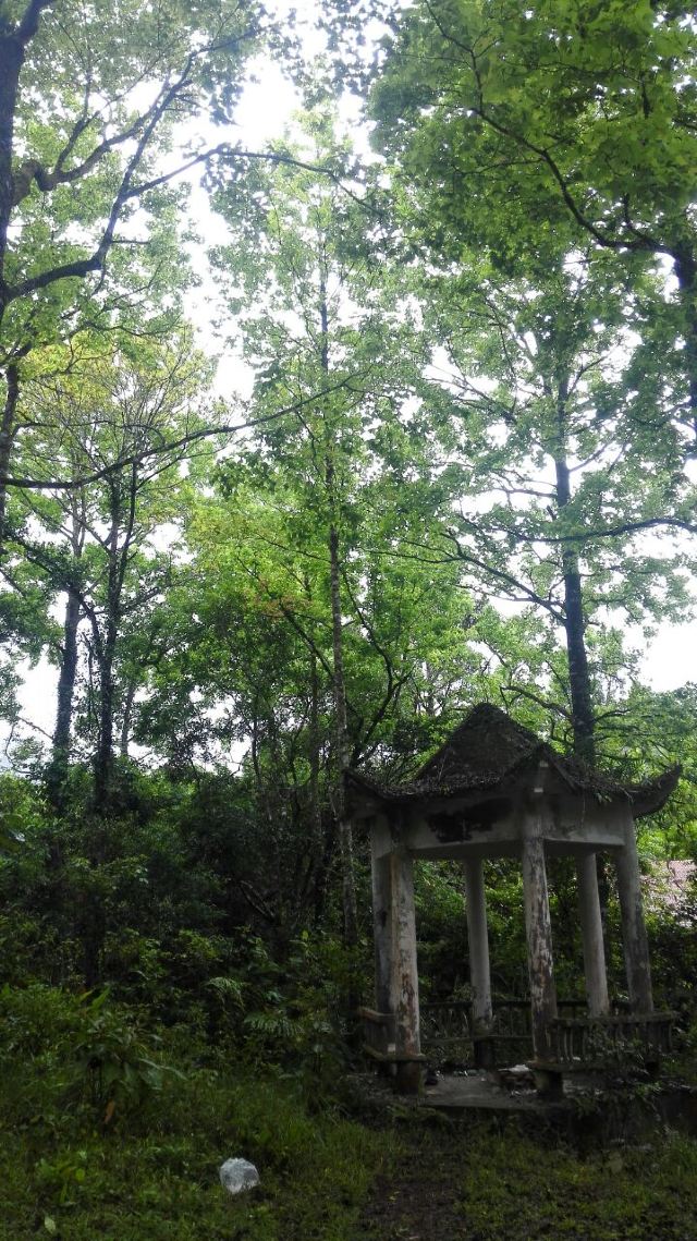 Wuzhishan Tropical Rainforest