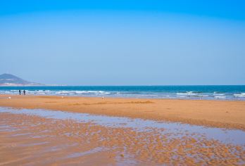 青岛海底世界+黄岛金沙滩一日游【6人小拼团送游艇出海船票】【经典老牌旅游线路，青岛深度游】