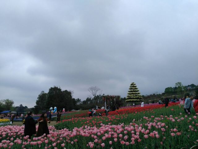 만화좡위완(만화장원)