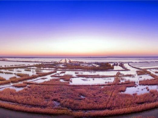 高邮湖芦苇荡湿地公园