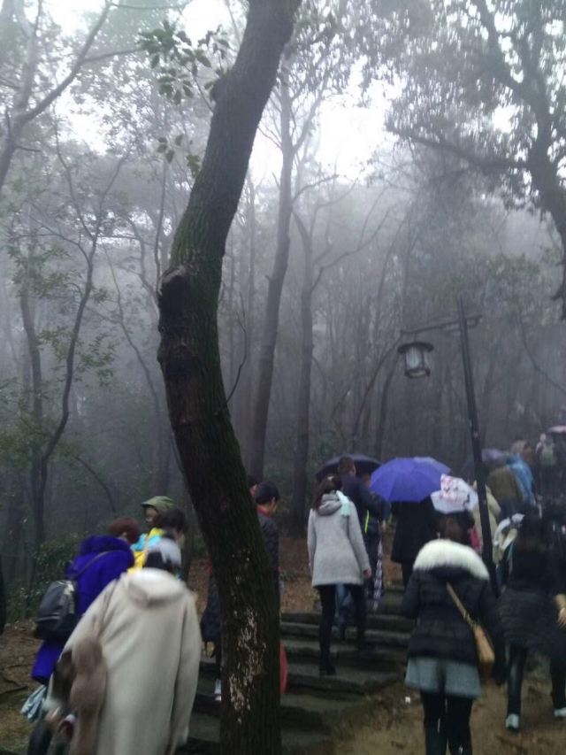 양톈산 국가삼림공원