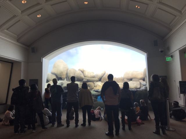 California Academy of Sciences