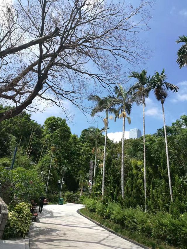 Kowloon Park