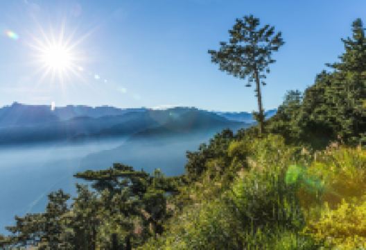 阿里山祝山景点图片