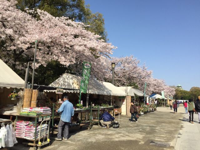 Osaka Castle Park