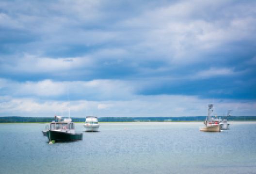 汉普顿海滩景点图片