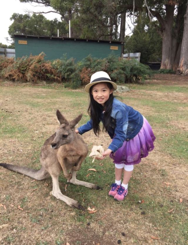 Trowunna Wildlife Park