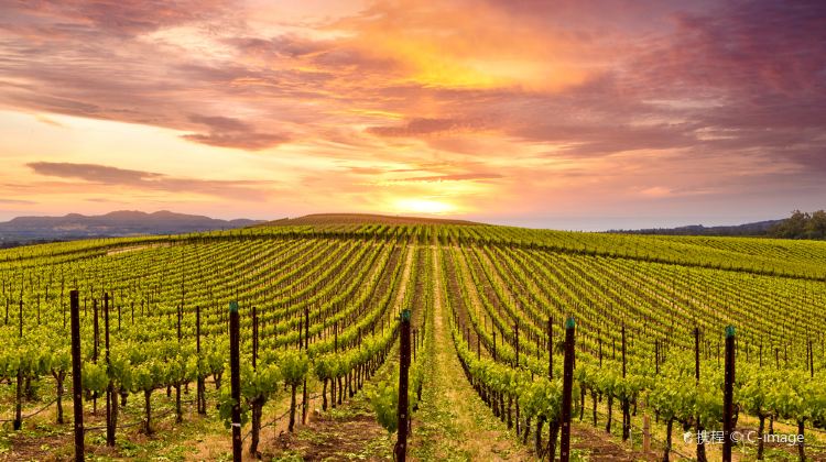 3-Day Oregon Premium Tour· Napa Valley, Redwood National Forest, Crater Lake National Park and San Francisco