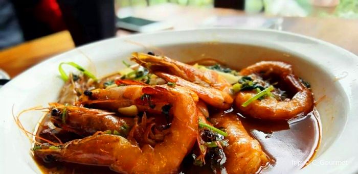 Xin Zhi Lv Ying Di Yin Le Coffee Jiu Ba Reviews Food - 