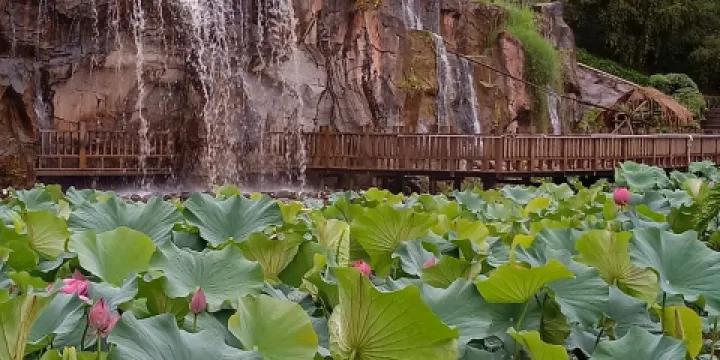勐烈湖濕地公園