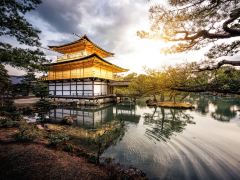 大津-京都-奈良，探访历史古刹之旅
