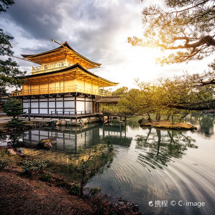 大阪+京都+金阁寺+清水寺+八坂神社+伏见稻荷大社一日游