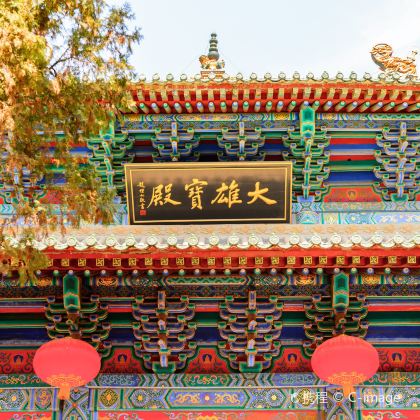 郑州+少林寺+龙门石窟+云台山+万仙山+老君山+开封府10日9晚跟团游