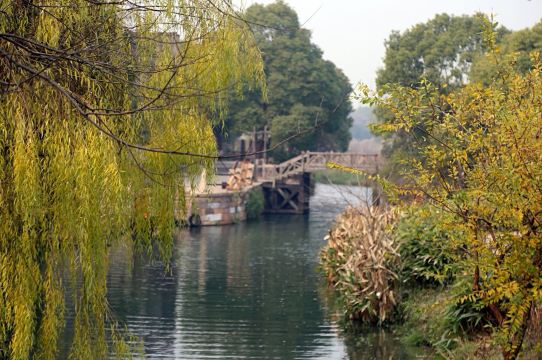 乌镇西栅景区-北湿地
