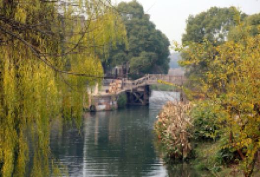 乌镇西栅景区-北湿地景点图片