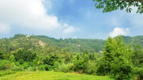 羅裳山公園