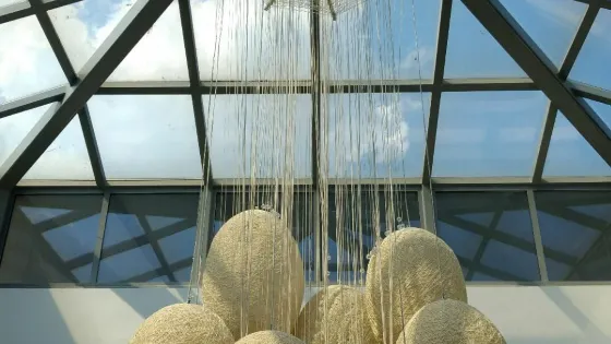 綺麗珊瑚博物館