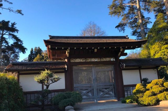 Japanese Tea Garden