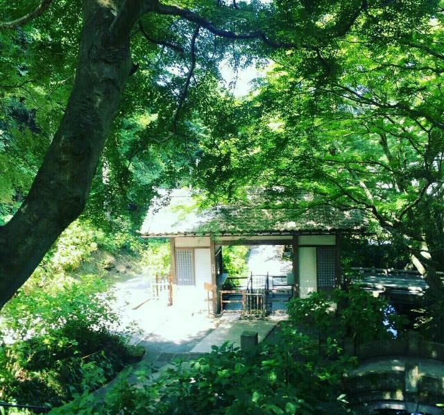 Gokuraku-ji Temple