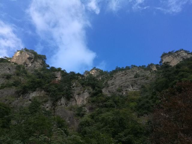 龍門飛渡索橋